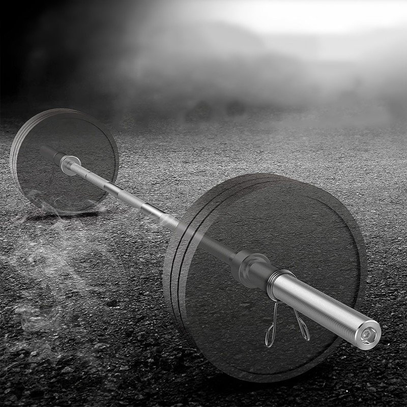 heavy duty barbell rode heavy duty barbell rode